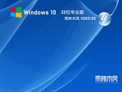 雨林木风 GHOST WIN10 32位 纯净专业版 V2021.03