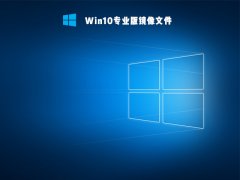 Win10专业版镜像文件下载 V2022.07