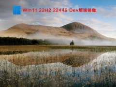 Win11 22H2 22449 Dev原版镜像 V2021.9.3