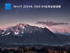 Win11 22449.1000 64位专业版 V2021.09