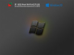 萝卜家园 Win10 64位高速专业版