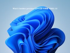 Win11 lnsider preciew 22523官方原版 V2021.12