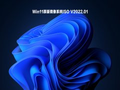 Win11原版镜像系统ISO V2022.01