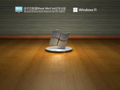 技术员联盟 Ghost Win11 64位 U盘装机版 V2022.01