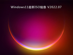 Windows11最新ISO镜像 V2022.07