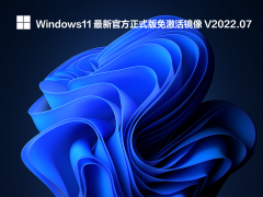 Windows11 最新官方正式版镜像 V2022.07