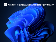 Windows11 最新官方正式版ISO镜像下载 V2022.07