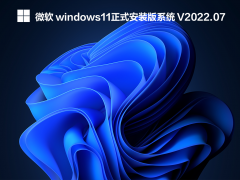 微软 windows11正式安装版系统 V2022.07