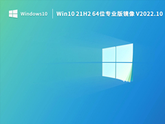 Win10 21H2 64位专业版镜像 V2022.10
