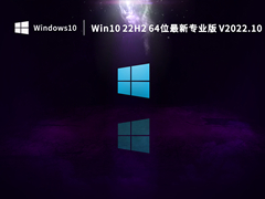 Win10 22H2 64位最新专业版 V2022.10