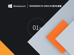 Windows10 20H2 64位最新专业版 V2022.10