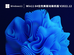 Win11 64位完美驱动装机版 V2022.12
