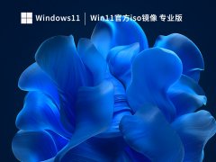 Win11官方iso镜像 专业版 V2023