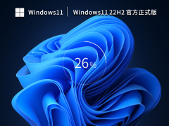 Windows11 22H2 64位 官方正式版 V22621.1485
