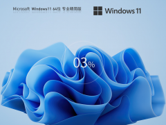 Windows11 22H2 64位 专业精简版 V2023