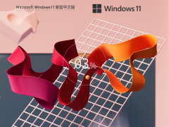 Windows11 22H2 X64 家庭中文版