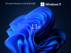 Windows11 64位 官方专业版 V2023
