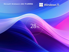 Win11渣机专用精简版