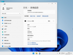 Win11精简版LTSC官方版