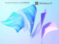 Windows11 22H2 64位 专业教育版