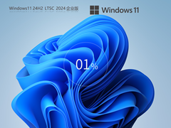 【稳定流畅】Win11 24H2 全新企业版 LTSC