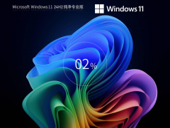 Windows11 24H2 纯净专业版系统
