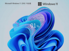 Windows11 25H2 专业版ISO镜像
