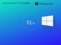 老机专用 Windows10 64位 专业精简版