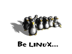 Ubuntu 11.04如何安装Ruby和rvm