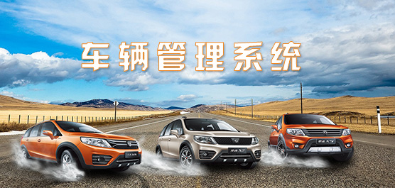 车辆管理系统集锦