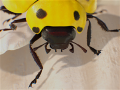 Xbox“天蝎座”到底有多强？效果图公布