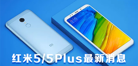 红米5/5Plus什么时候上市？红米5/5