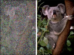 自动去水印！NVIDIA发布新人工智能技术