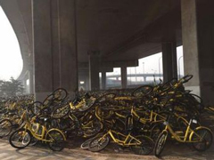 堆了1公里！西安出现ofo小黄车“坟场”