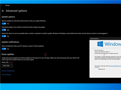 又出新Bug？爆料称Win10 KB4535996补丁致设备启动缓慢或失败、FPS 掉帧等