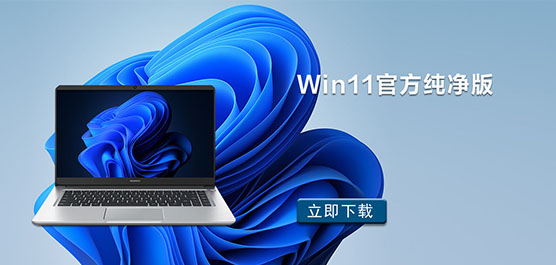 Win11纯净版_Win11官方纯净版_Win11纯净版安装包下载