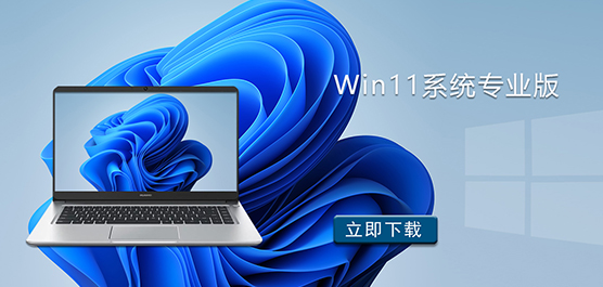 Win11系统专业版下载-Windows11专业版64位官方下载