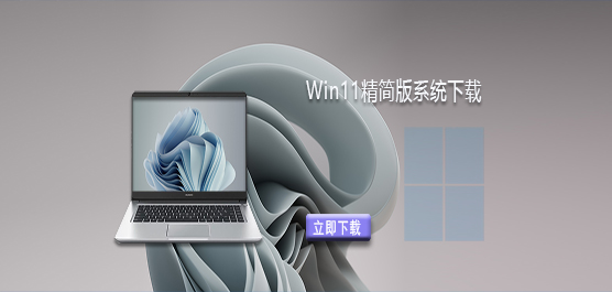 Windows11精简版下载-Win11精简版系统下载大全