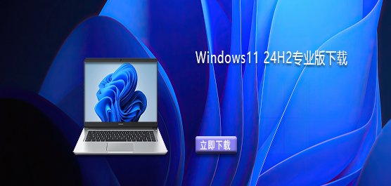 Windows11系统下载-Windows11 24H2专业版下载