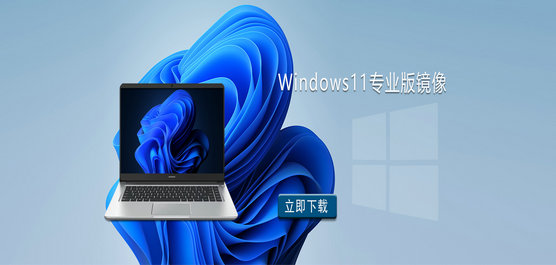 Win11镜像文件下载-Windows11专业版镜像下载