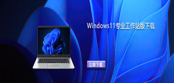 Windows11专业工作站版下载-Win11工作站版系统镜像下载