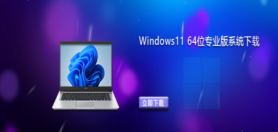 Windows11系统下载-Windows11 64位专业版系统下载