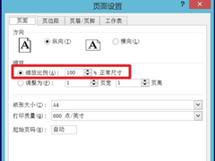 Excel表格如何居中打印？Excel表格居中打印教程