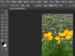 photoshop cs6如何一次打印多张照片？pscs6一次打印多张照片的方法