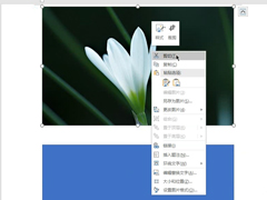Word如何制作双重曝光特效？制作双重曝光特效的方法