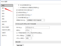 Word2019如何显示所有格式标记？显示所有格式标记的方法