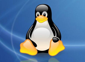 <b>Ubuntu系统怎么设置中文语言？Ubuntu系统设置中文语言的方法</b>