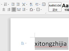 wps里英文字母大小写怎么转换？wps里英文字母大小写转换的快捷方法