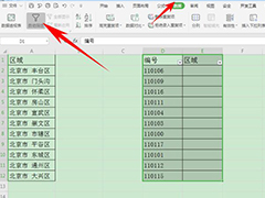 wps表格如何设置有效性显示特定内容？