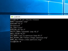 WSL重大更新：微软Win10使用Linux GUI 更容易